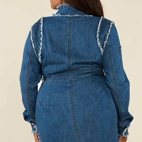 L'Atiste Plus Size Dress Frayed Trim Denim - Picture 6 of 11